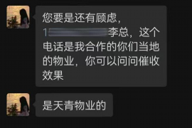 远安远安的要账公司在催收过程中的策略和技巧有哪些？